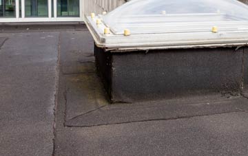 disadvantages of West Barnby flat roofs