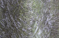 West Barnby fibreglass roof work